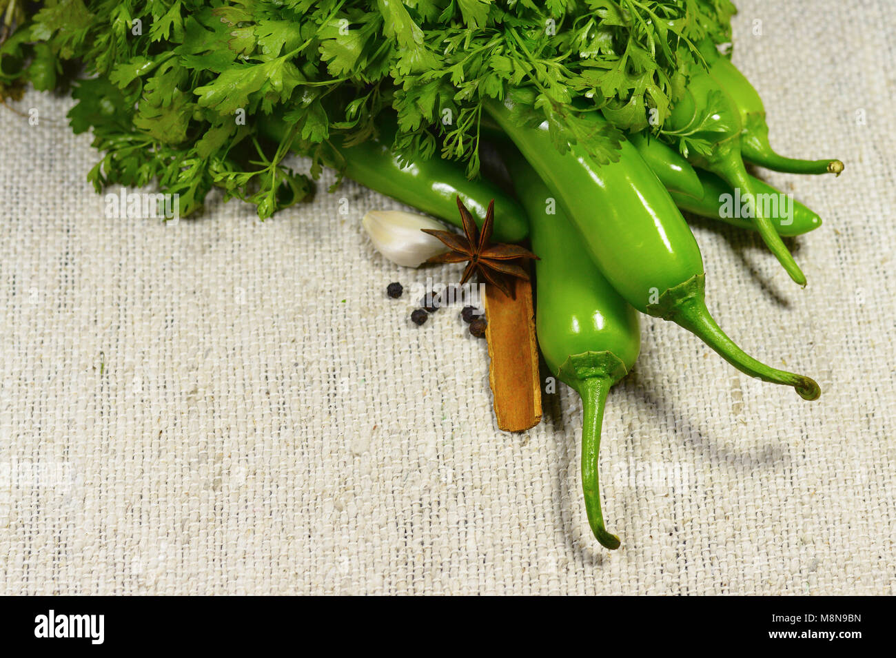 Close view of Green chili with coriander and Indian spices Stock Photo Alamy
