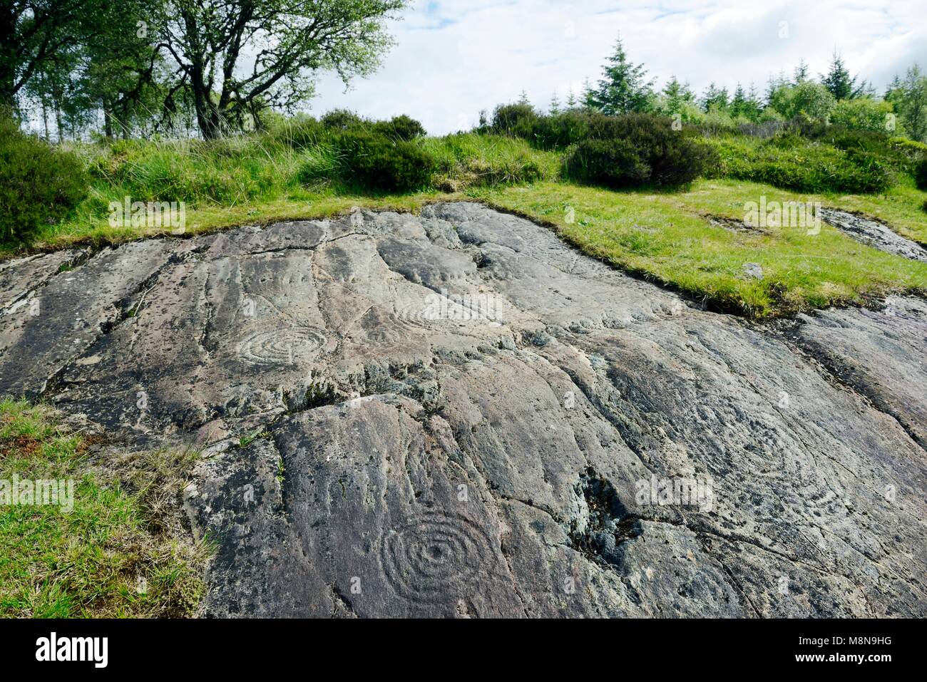 Cup and ring mark marks prehistoric Neolithic rock art on natural rock outcrop at Achnabreck in Kilmartin Valley, Argyll, Scotland, UK Stock Photo
