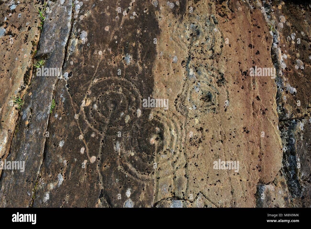 Refinement Marks On Rocks Cup and ring mark marks prehistoric Neolithic rock art on natural rock ...