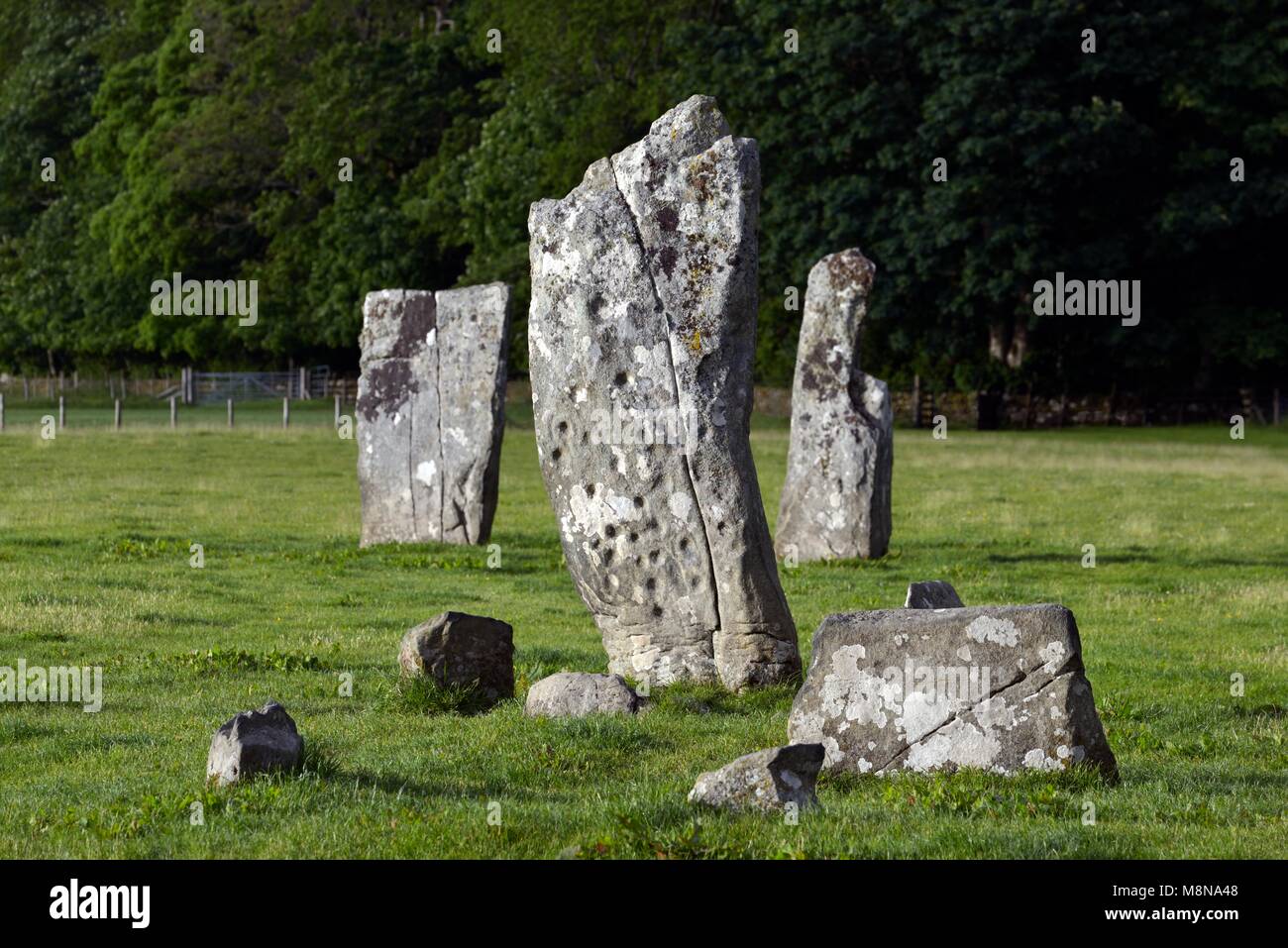Cup and ring marks on south face of central stone of Nether Largie standing stones. Prehistoric rock art in Kilmartin Valley, Argyll, Scotland, UK Stock Photo