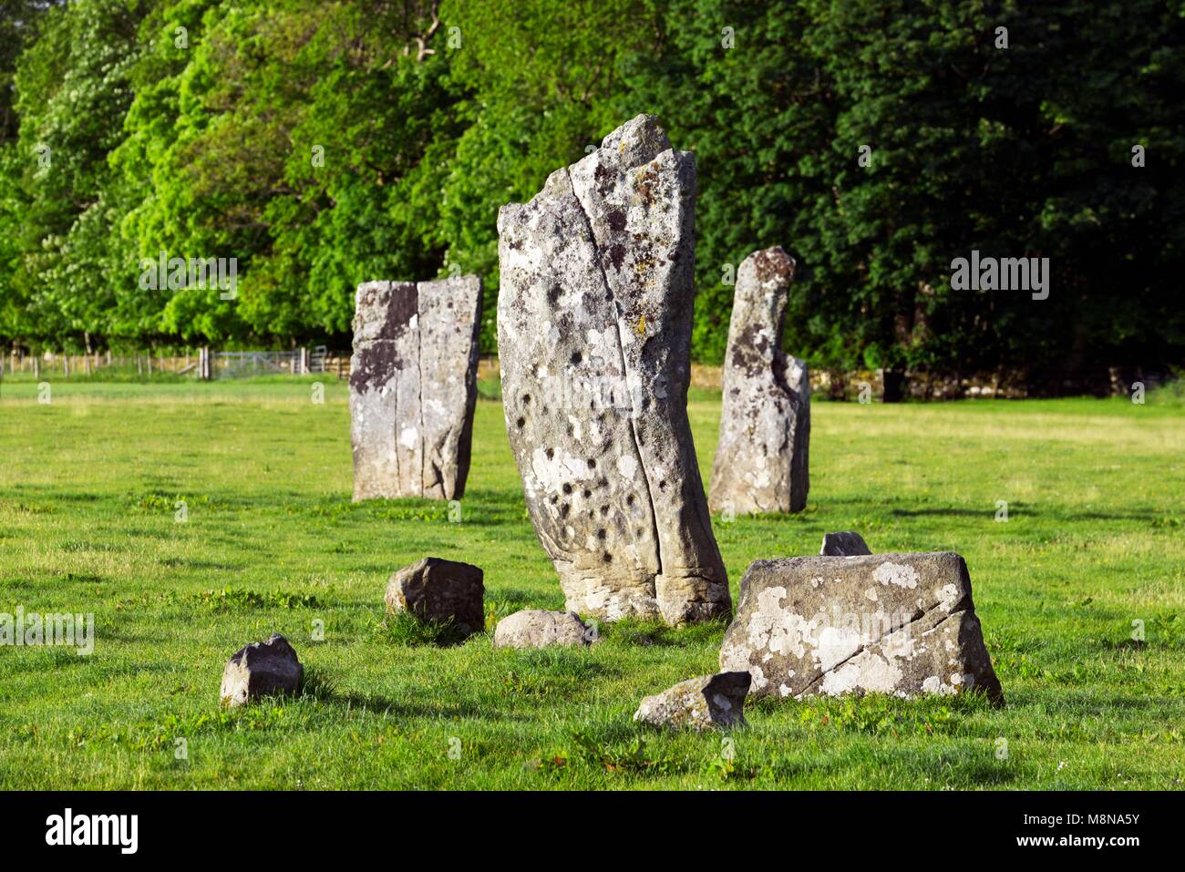 Cup and ring marks on south face of central stone of Nether Largie standing stones. Prehistoric rock art in Kilmartin Valley, Argyll, Scotland, UK Stock Photo