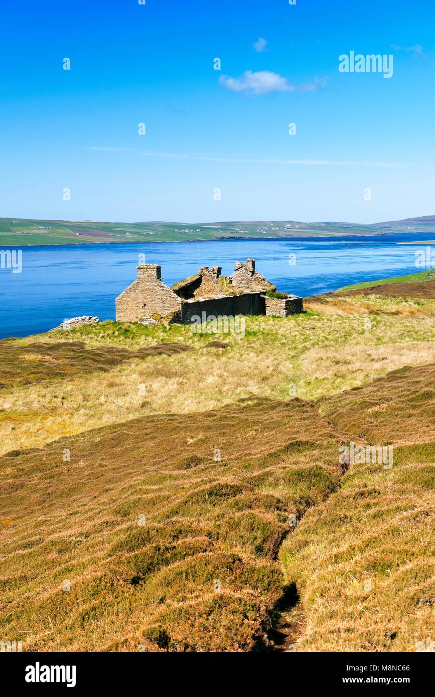 Island of Rousay, Orkney, Scotland. Derelict ruined croft house hill farm near Westness. West over Eynhallow Sound. Path through early summer heather Stock Photo
