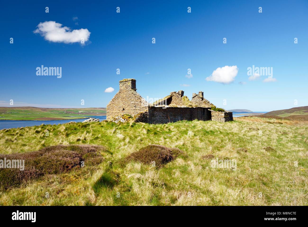 Island of Rousay, Orkney, Scotland. Derelict ruined croft house hill farm near Westness. West over Eynhallow Sound. Path through early summer heather Stock Photo