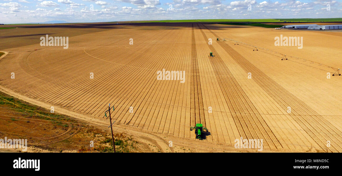 Farm Workers Work the Tillers on a smooth well cultivated field Stock Photo