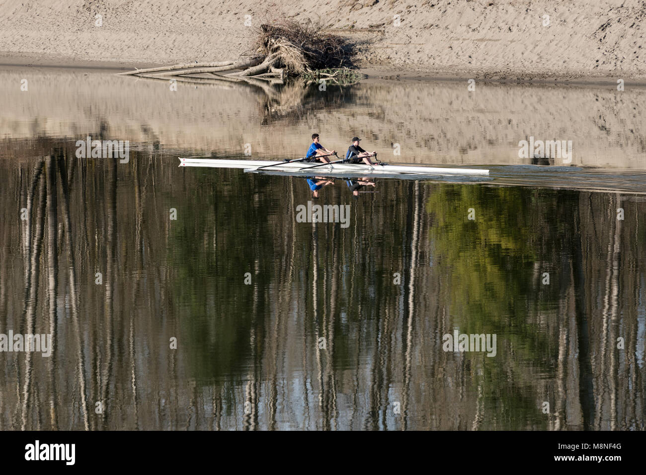 Rowing a racing shell on Bedford Channel of the lower Frasier River ...