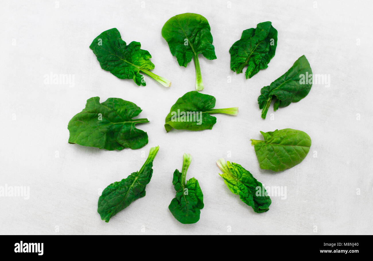 Spinach pattern background on a gray background. Top view Stock Photo ...