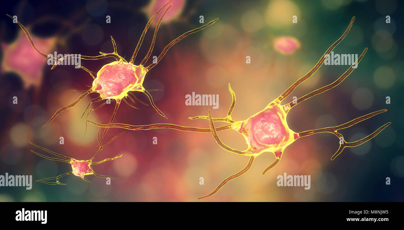 Nerve cells. Computer illustration of nerve cells, or neurons Stock ...