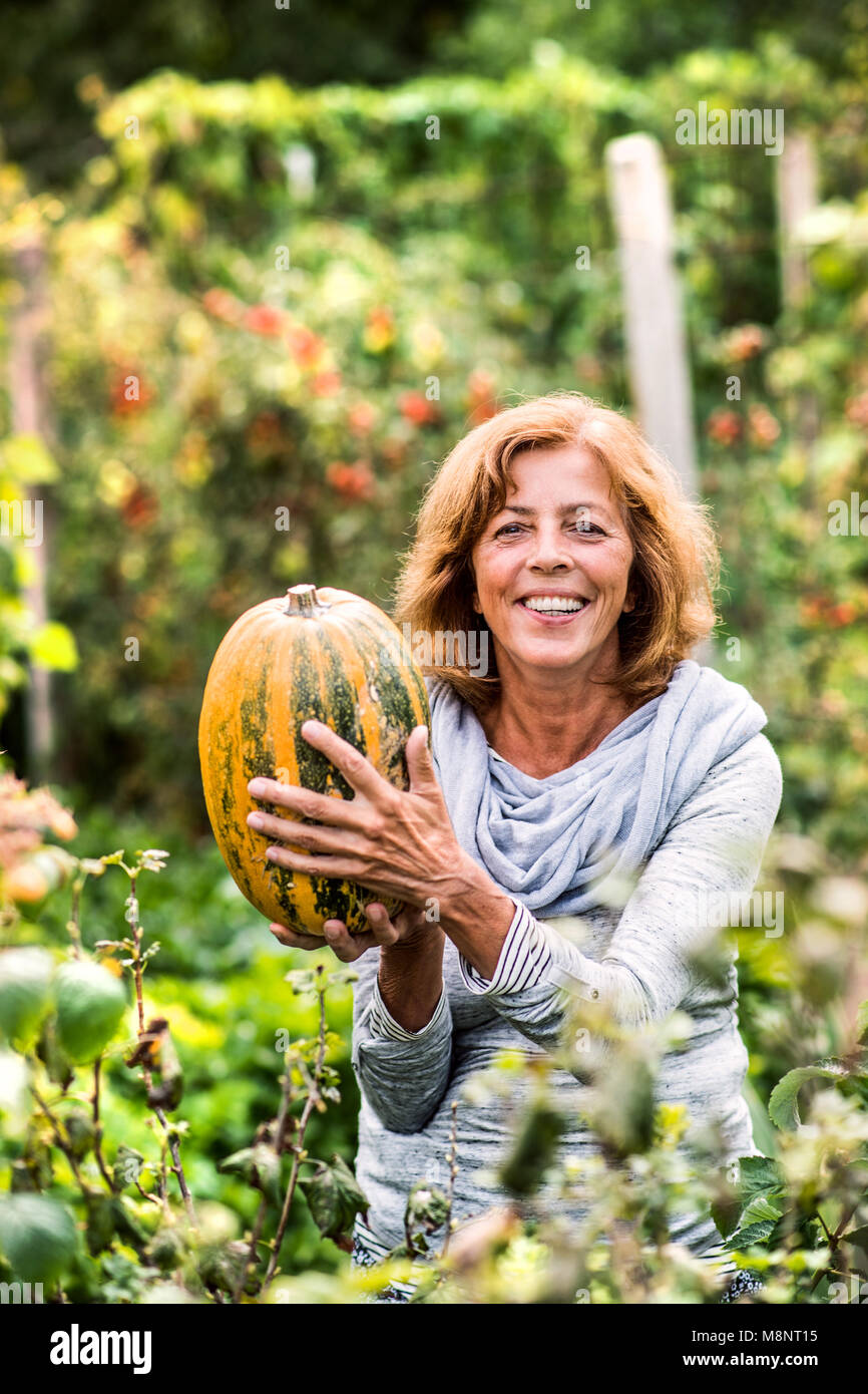 Senior woman gardening in the backyard garden Stock Photo - Alamy