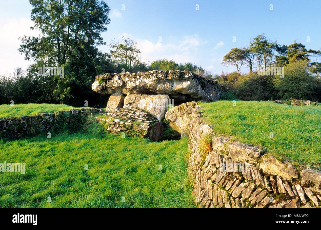 Tinkinswood prehistoric Neolithic burial chamber mound and central cist megaliths near Barry, South Glamorgan, South Wales, UK Stock Photo