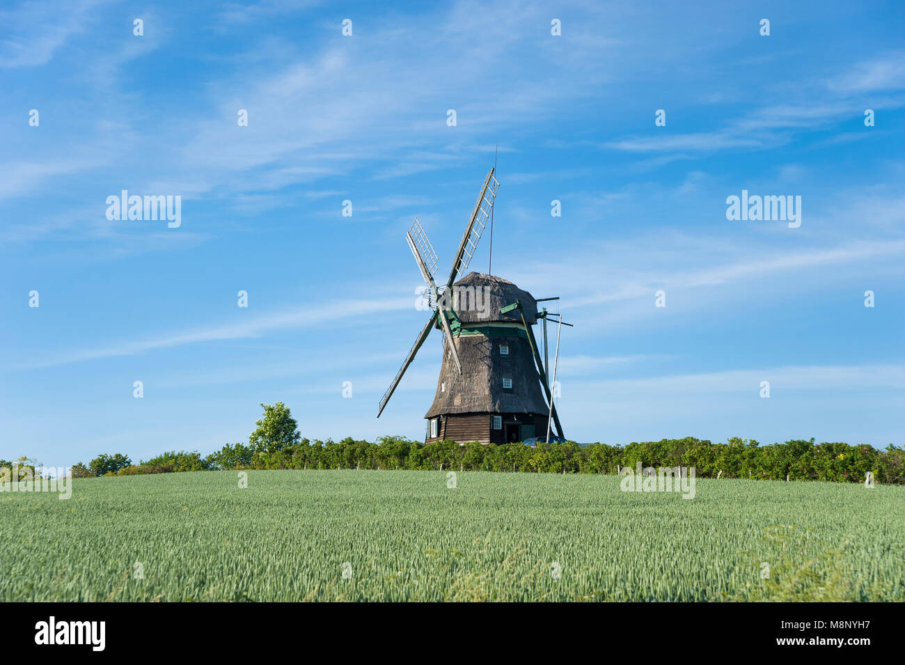 Farver Mill, Wangles, Baltic Sea, Schleswig-Holstein, Germany, Europe Stock Photo