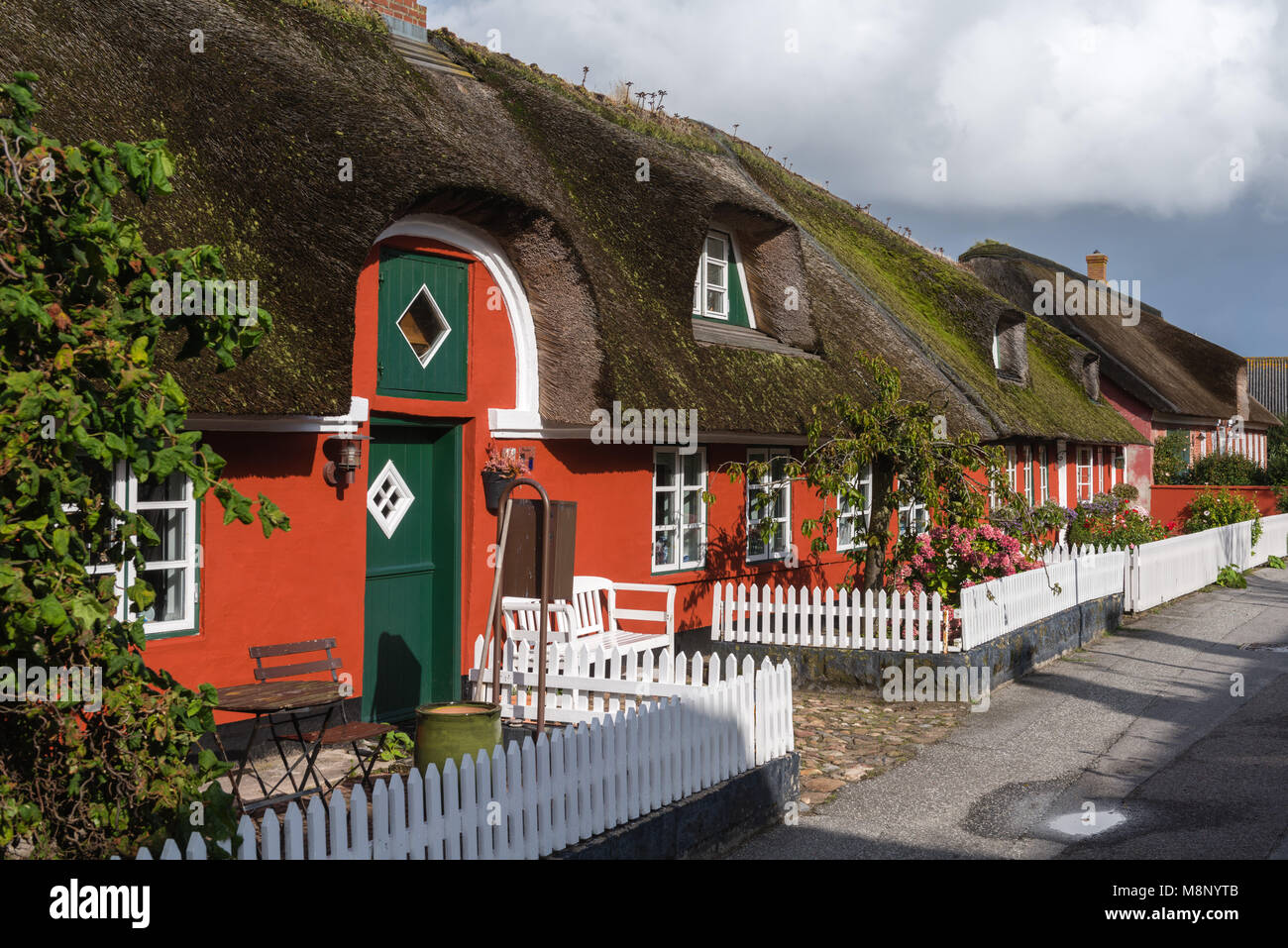 Row of red painted thatched cottages, typical Danish houses in Nordby