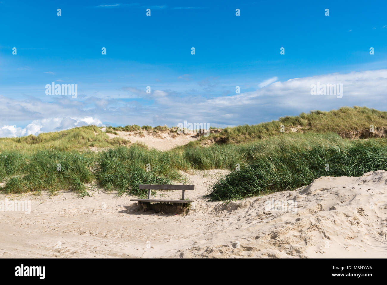 Dunes at Rindby Beach on Fanoe Island, North Sea, Jutland, Denmark, Scandinavia Stock Photo