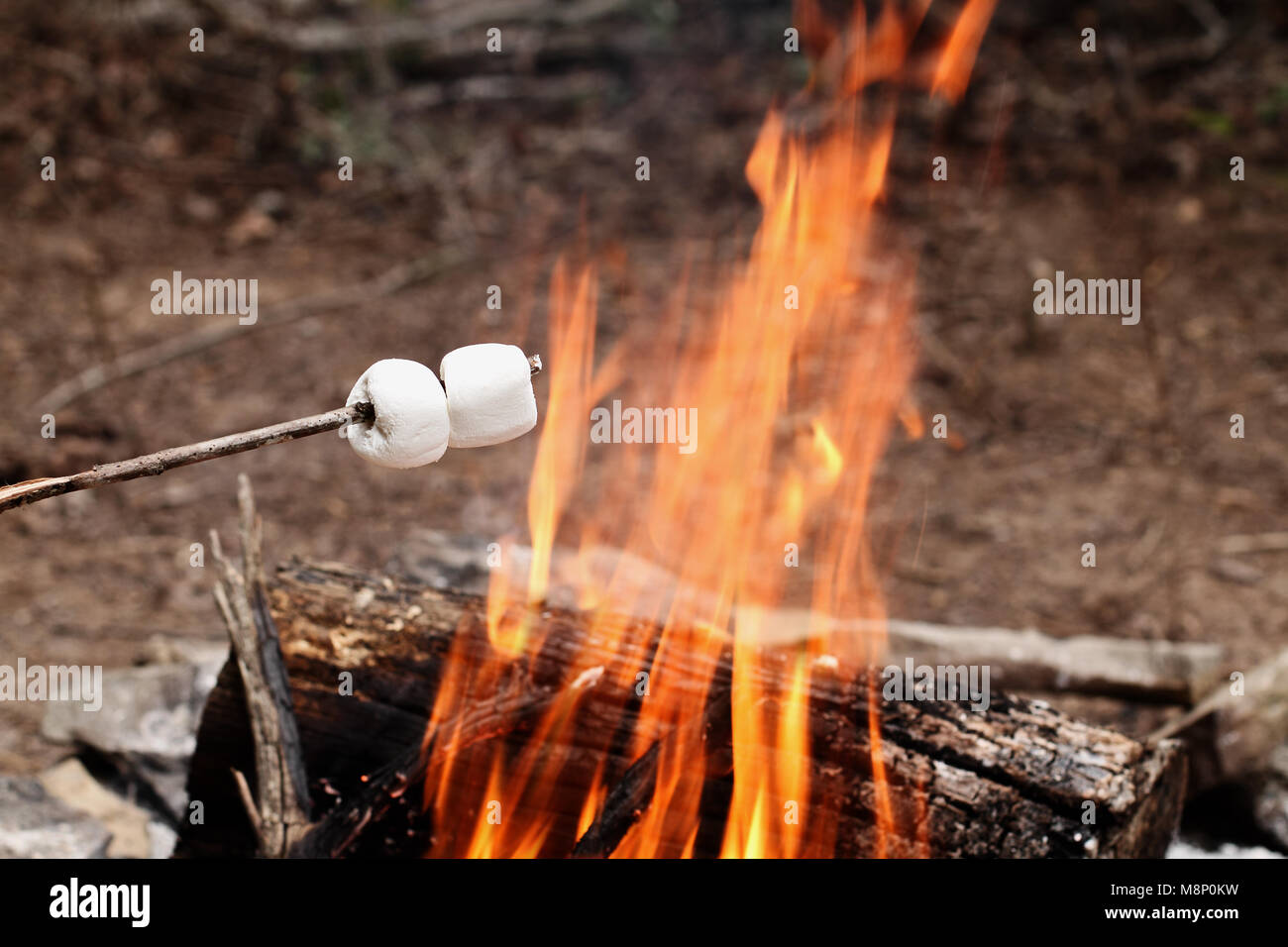 Toasted marshmallow stick hires stock photography and images Alamy