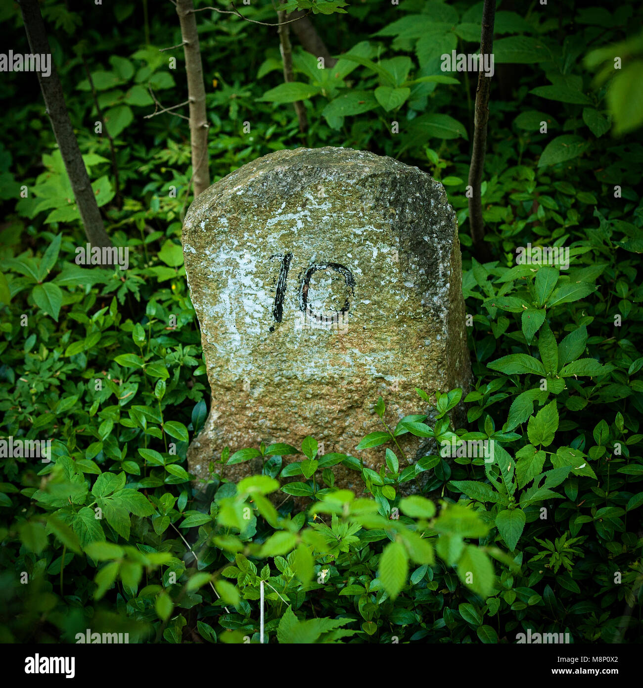 Old stone mile marker hires stock photography and images Alamy