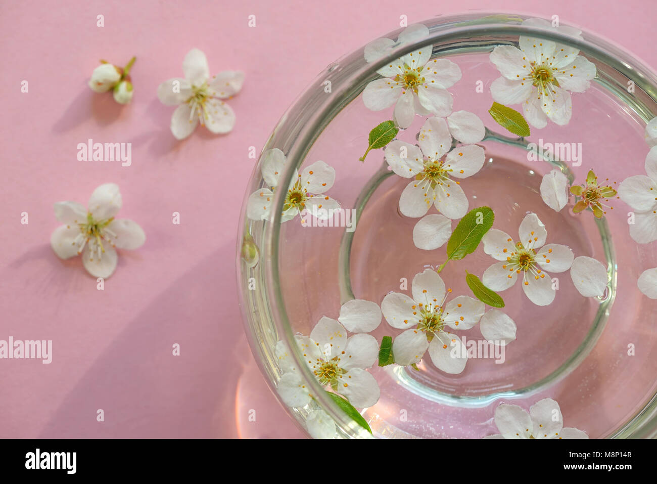 Spring flowers in bowl of water Stock Photo Alamy