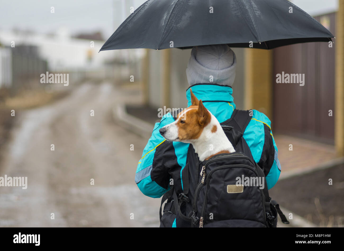 Basenji Umbrella Basenji Umbrella
