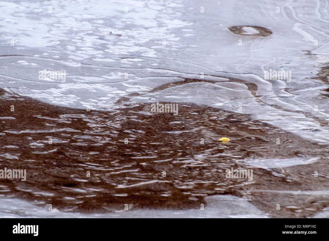 Larger puddle with ice forming on the edges. Stock Photo