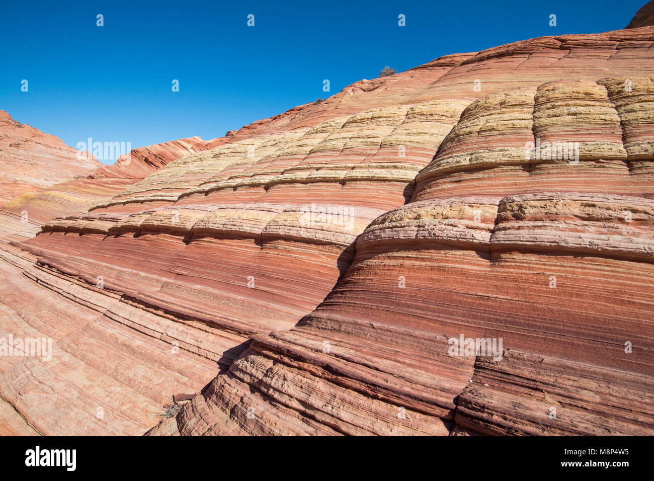 Colorful sandstone cliffs in the Boneyard region of North Coyote Buttes. Stock Photo