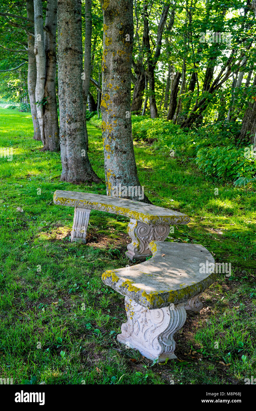 Decorative cement park benches among the trees Stock Photo Alamy