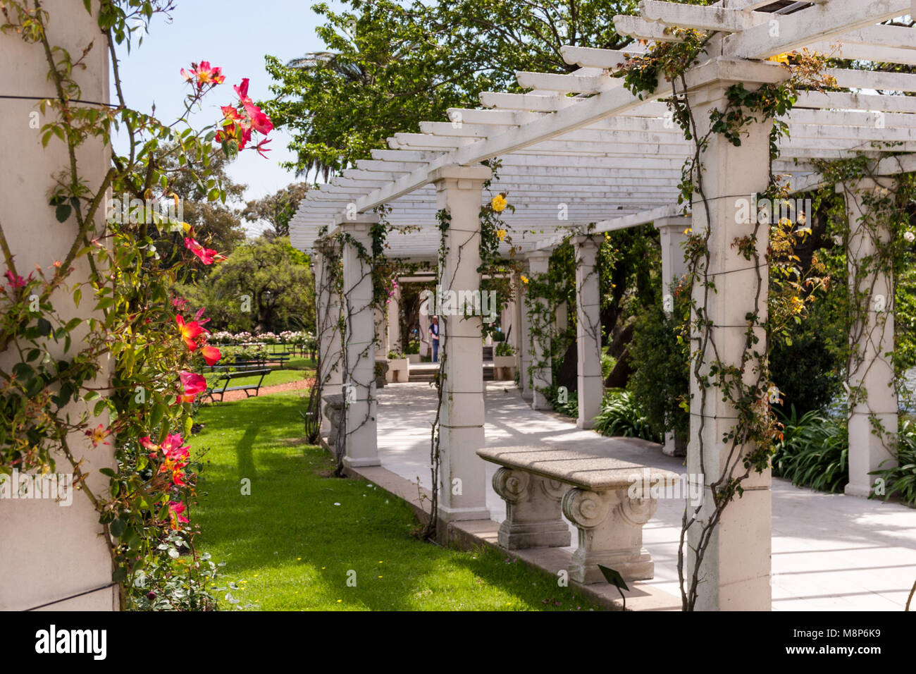 A trellis walkway with flowers in a romantic park Stock Photo - Alamy