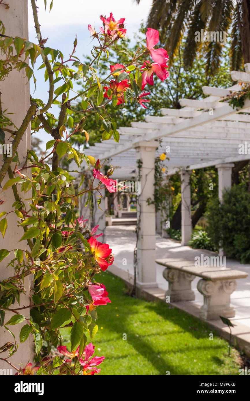 A trellis walkway with flowers in a romantic park Stock Photo - Alamy