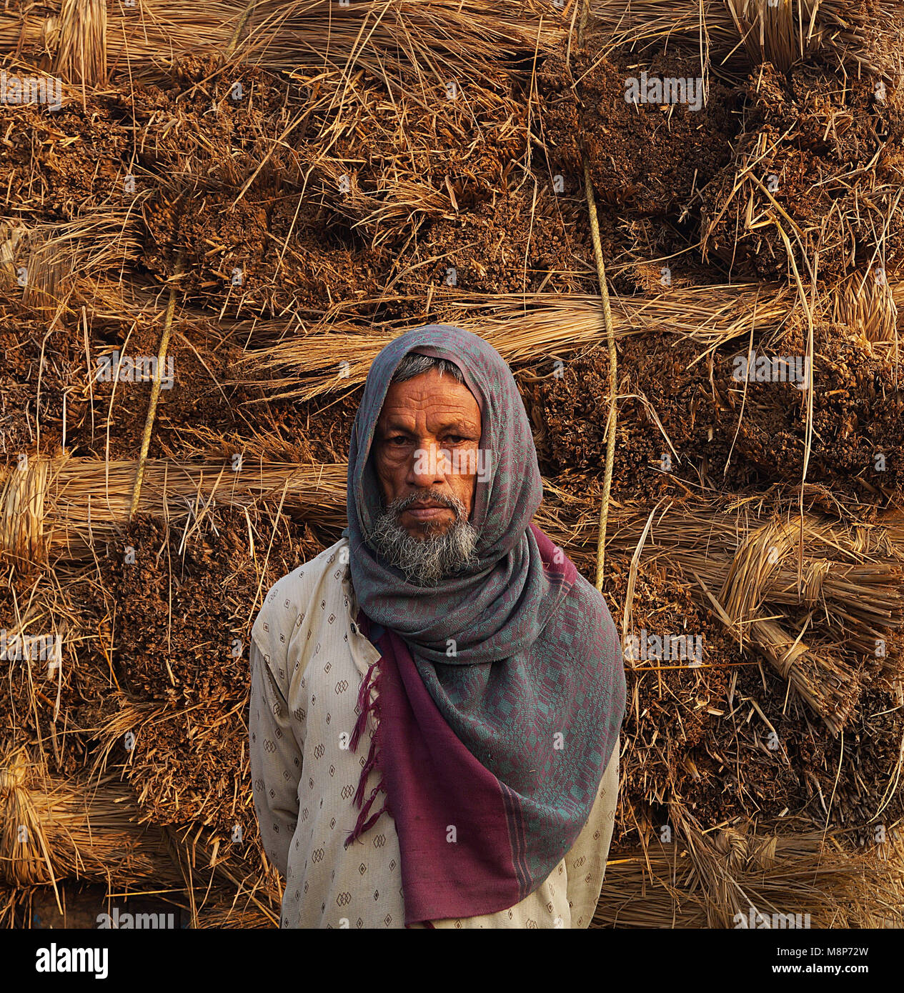straw man Stock Photo Alamy