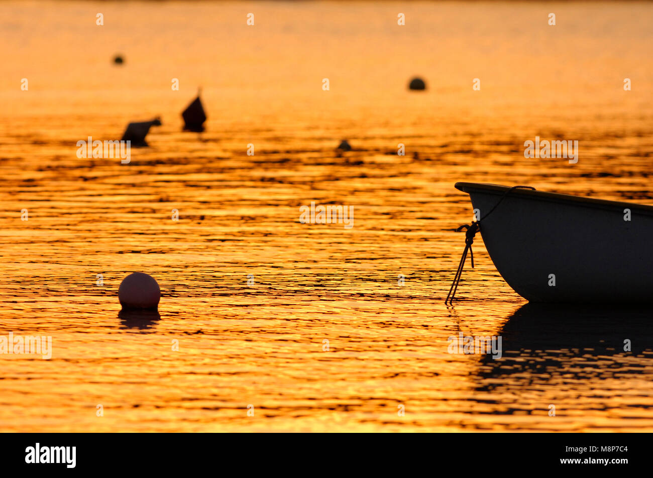 The sea painted golden by the setting sun Stock Photo - Alamy