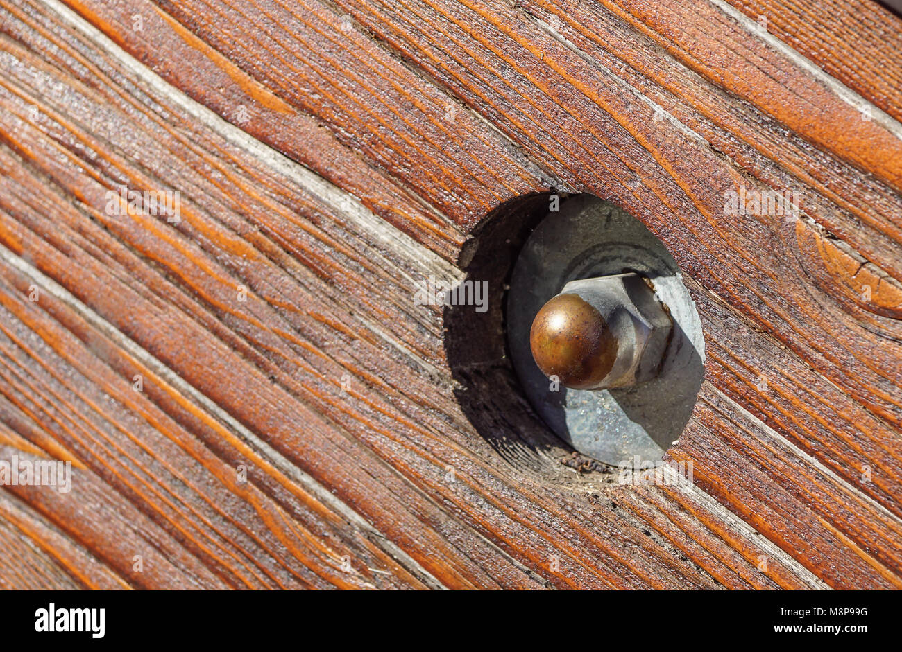 close up of old rusty screw head on rustic wooden beam Stock Photo