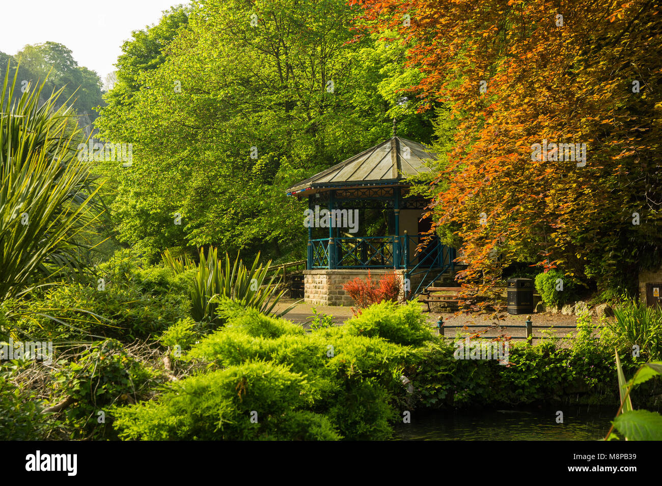 Matlock bath bandstand amongst foliage from the park Stock Photo Alamy