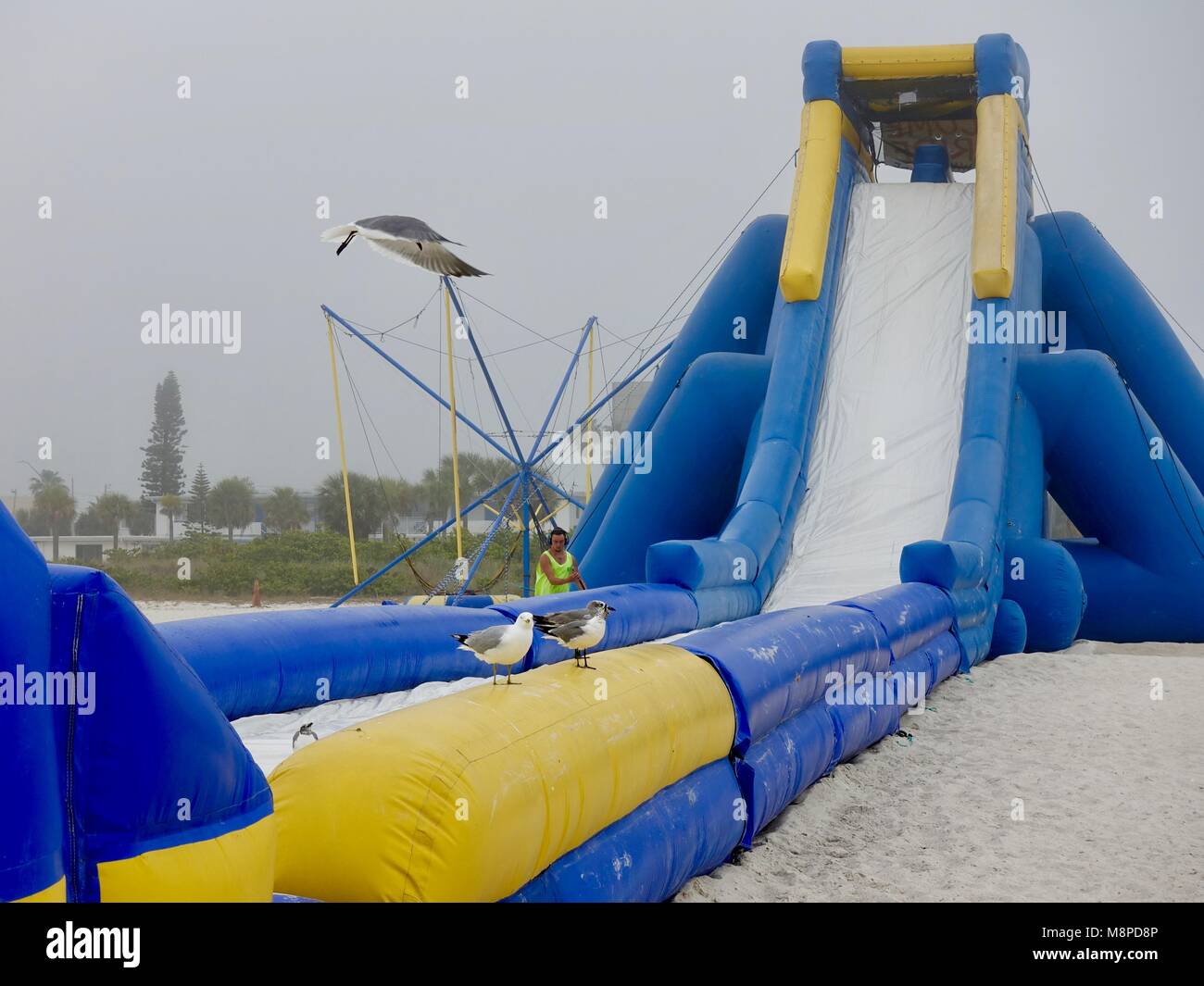 Gulls perched on beach slide while worker rinses it off with a hose