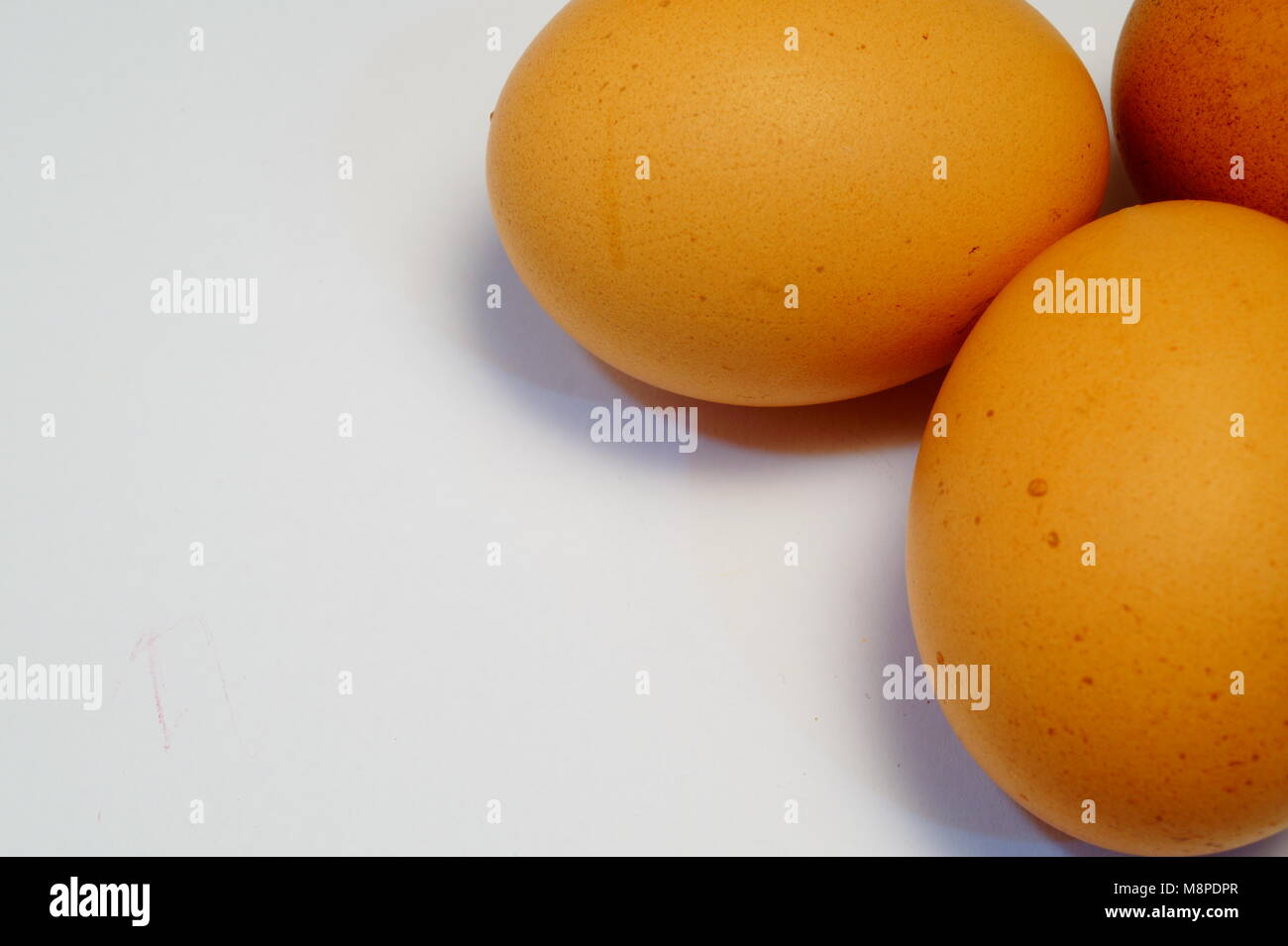 eggs close-up on a white background Stock Photo