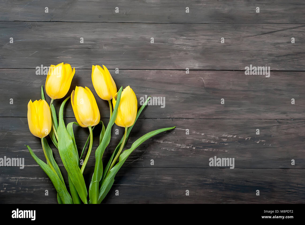 bouquet of yellow tulips with yellow ribbon on vintage dark wooden ...