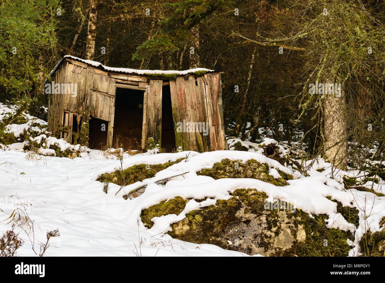 Old hut into forest with snow Stock Photo - Alamy