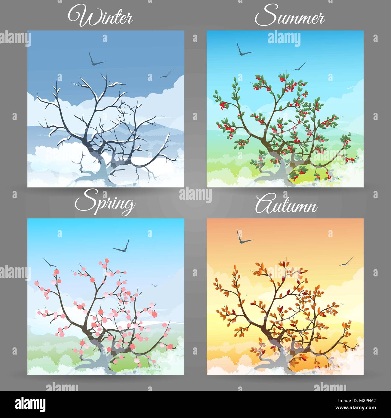 Set of Cherry tree in the different seasons. Vector illustration. Stock Vector