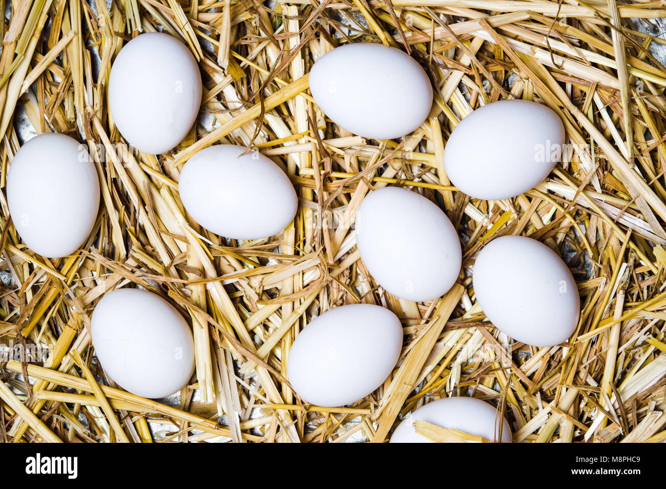 White eggs on dried straw top view Stock Photo - Alamy