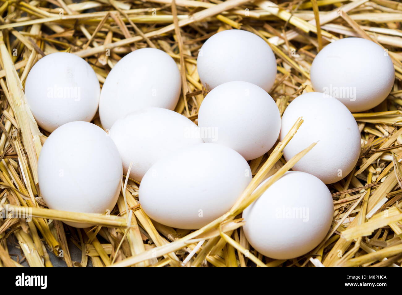 White eggs on dried straw top view Stock Photo - Alamy