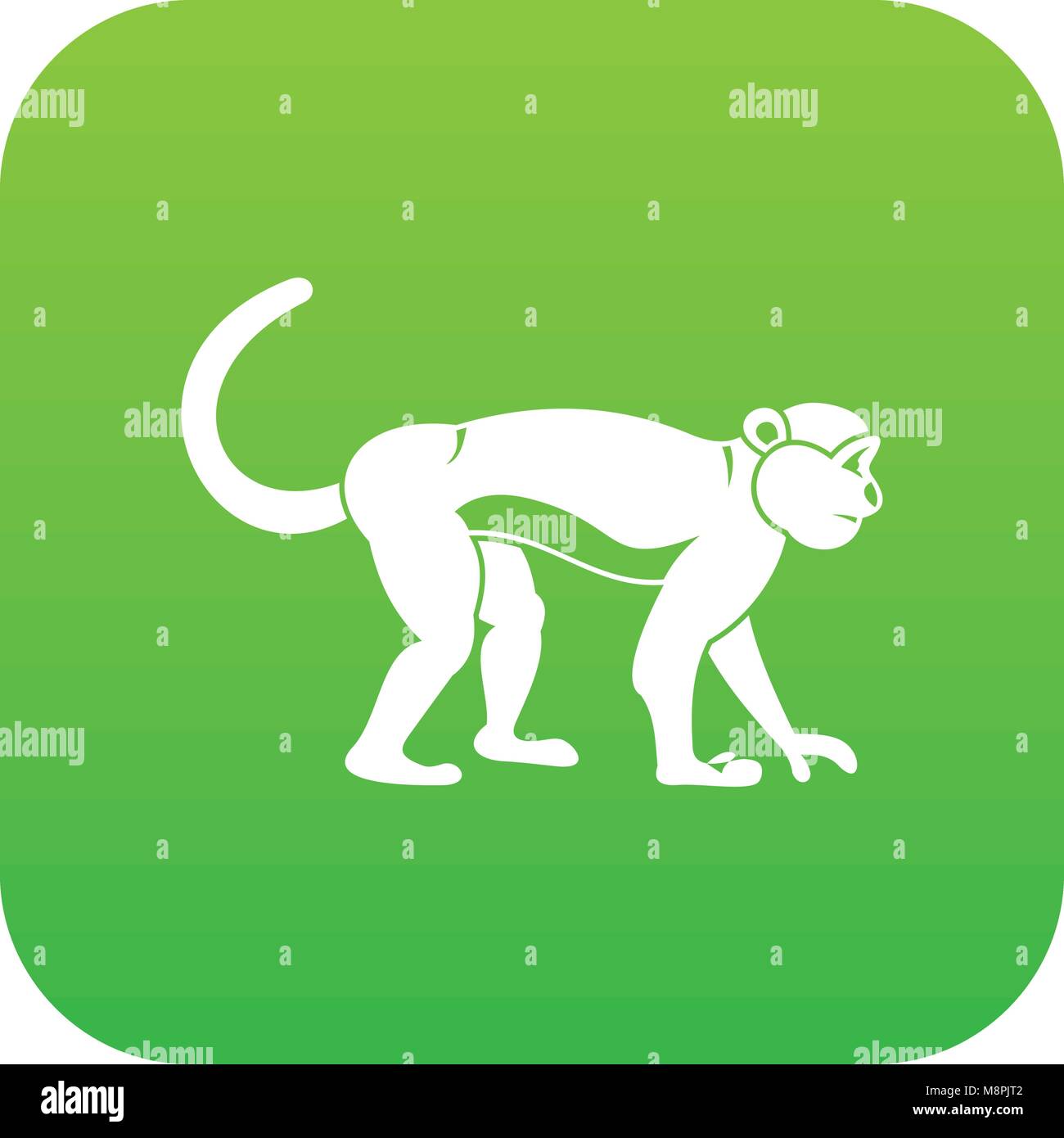 Macaque icon digital green Stock Vector Image & Art - Alamy