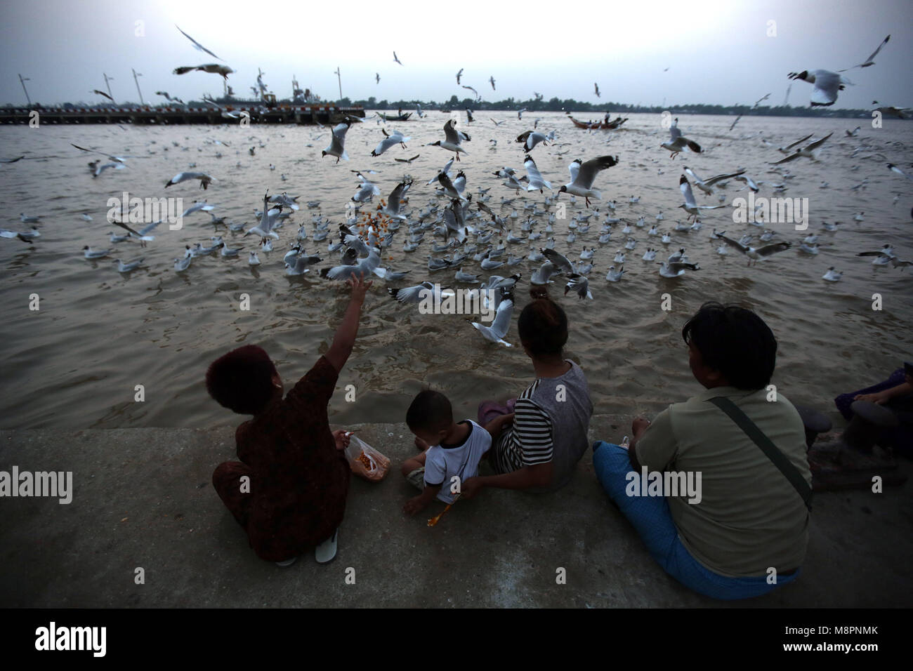 (180319) -- YANGON, March 19, 2018 (Xinhua) -- A family feeds seagulls at a jetty in Yangon, March 19, 2018. (Xinhua/U Aung)  (zf) Stock Photo