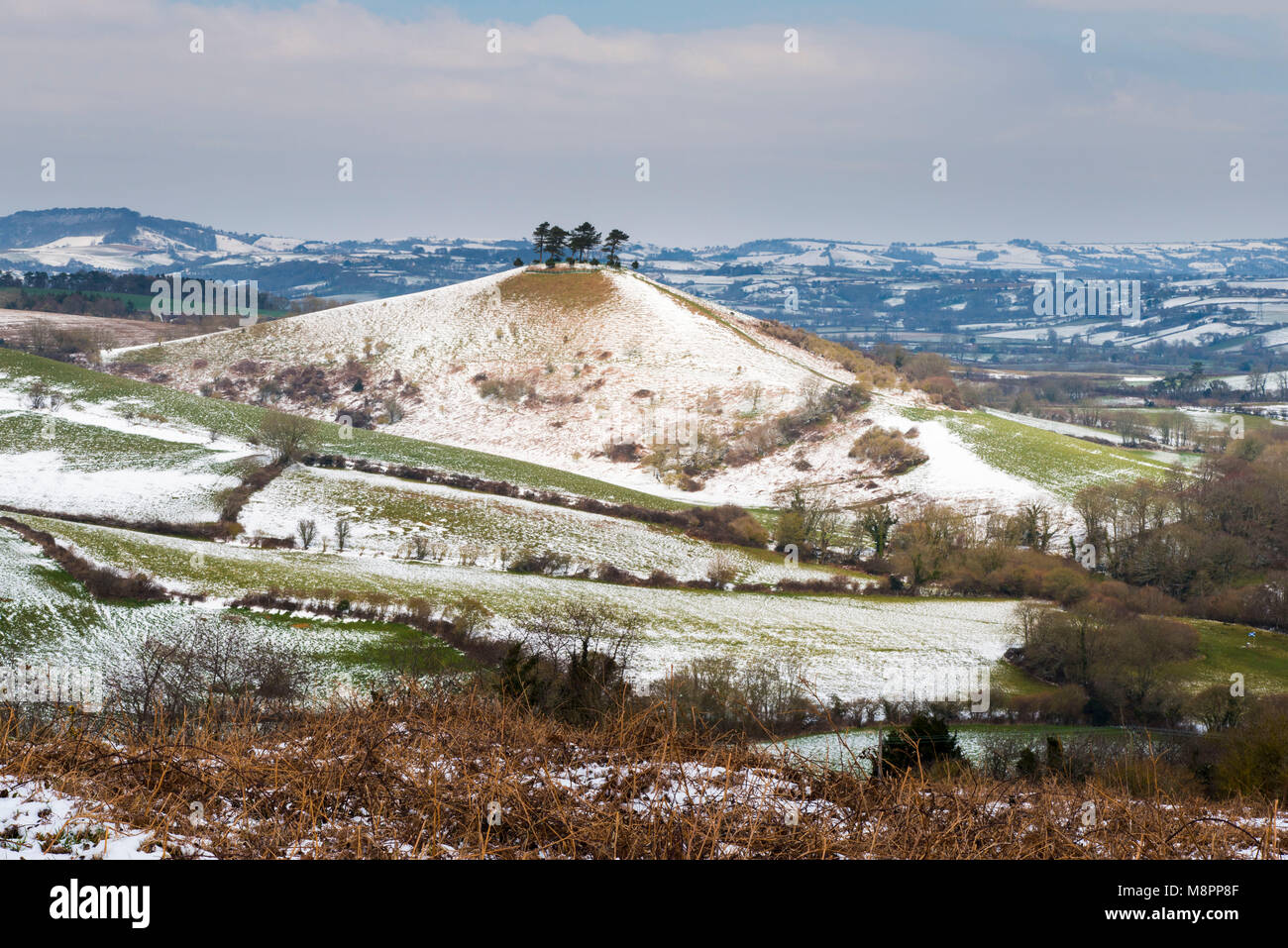 Bridport, Dorset, UK.  19th March 2018.  UK Weather.  Snow gradually thawing on Colmers Hill near Bridport in Dorset as temperature begin to rise.  Picture Credit: Graham Hunt/Alamy Live News. Stock Photo