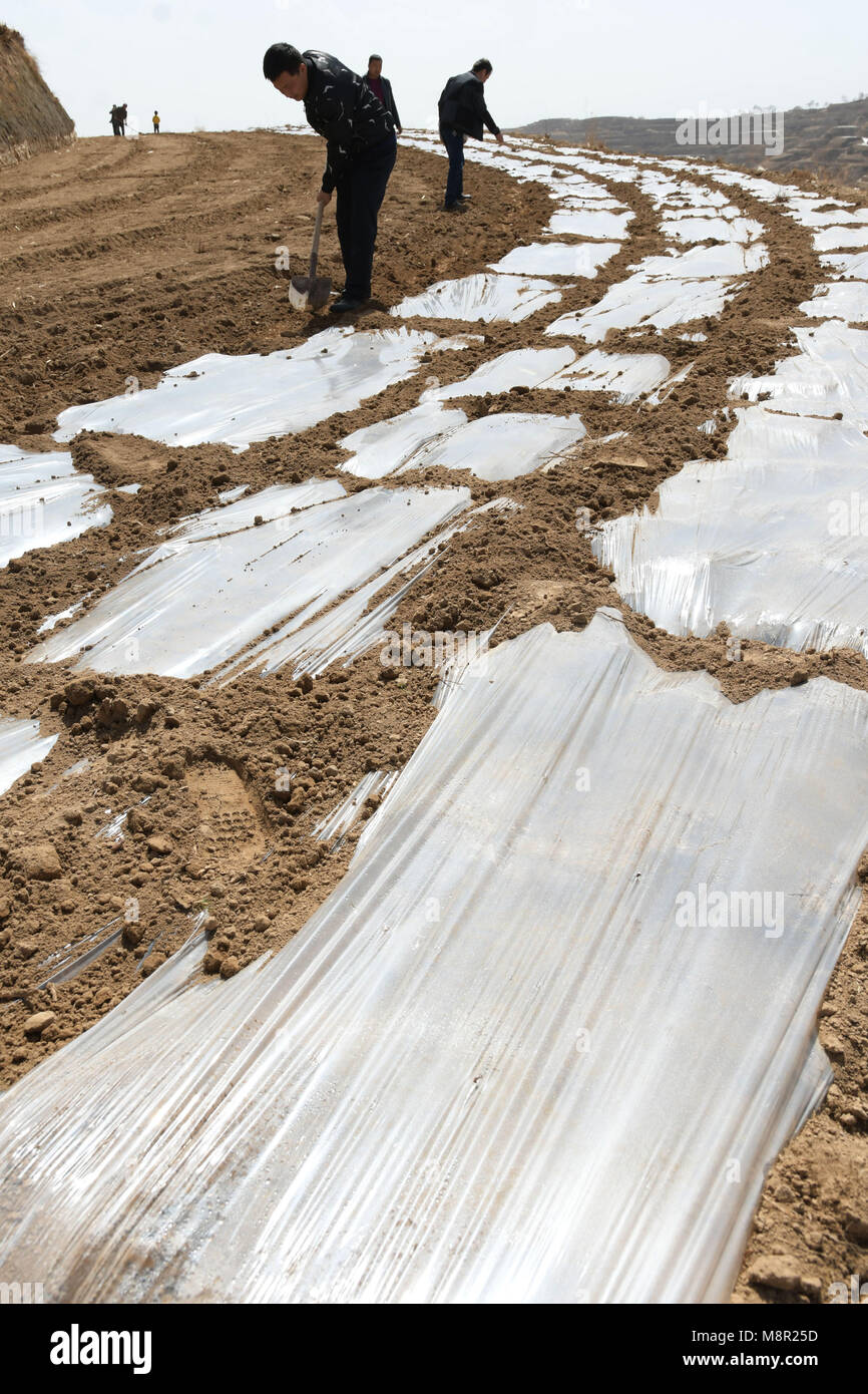Linxia, China's Gansu Province. 19th Mar, 2018. Farmers work at a field ...