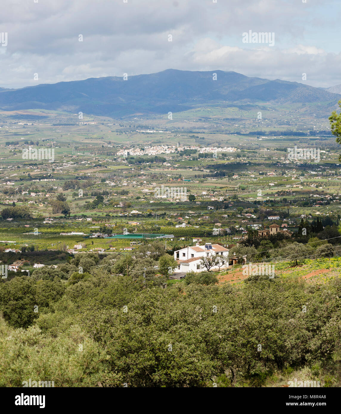 Andalusian countryside near Alhaurin El Grande, Malaga, Andalusia, Spain. Stock Photo
