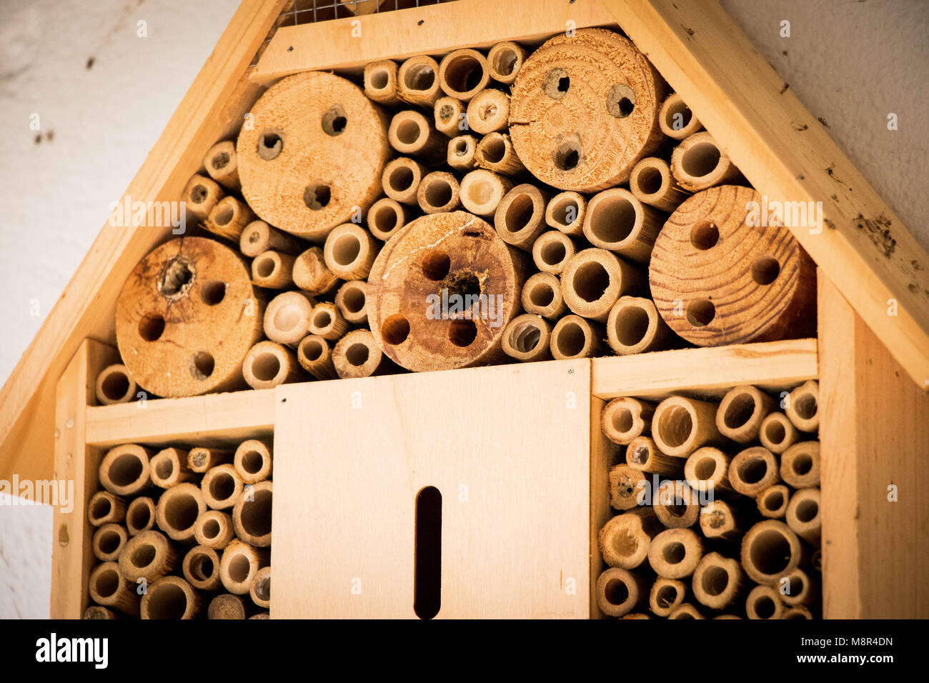 Bee house bees nest bamboo wood log ecological Stock Photo Alamy