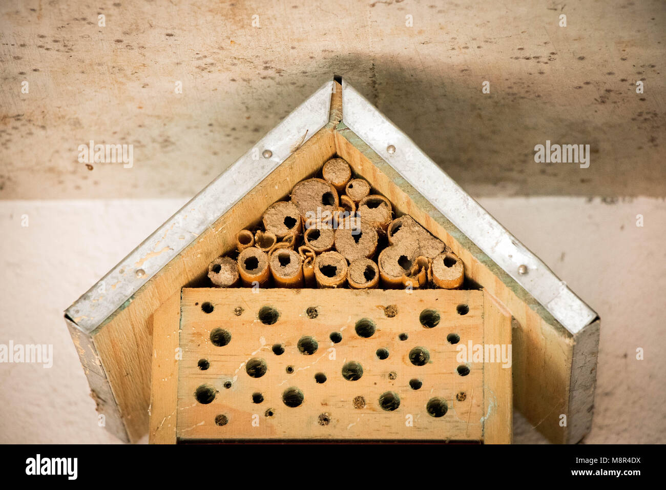 Bee house bees nest bamboo wood log ecological Stock Photo Alamy