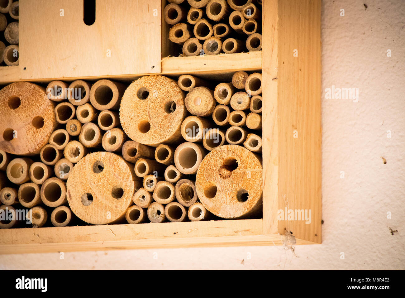 Bee house bees nest bamboo wood log ecological Stock Photo Alamy