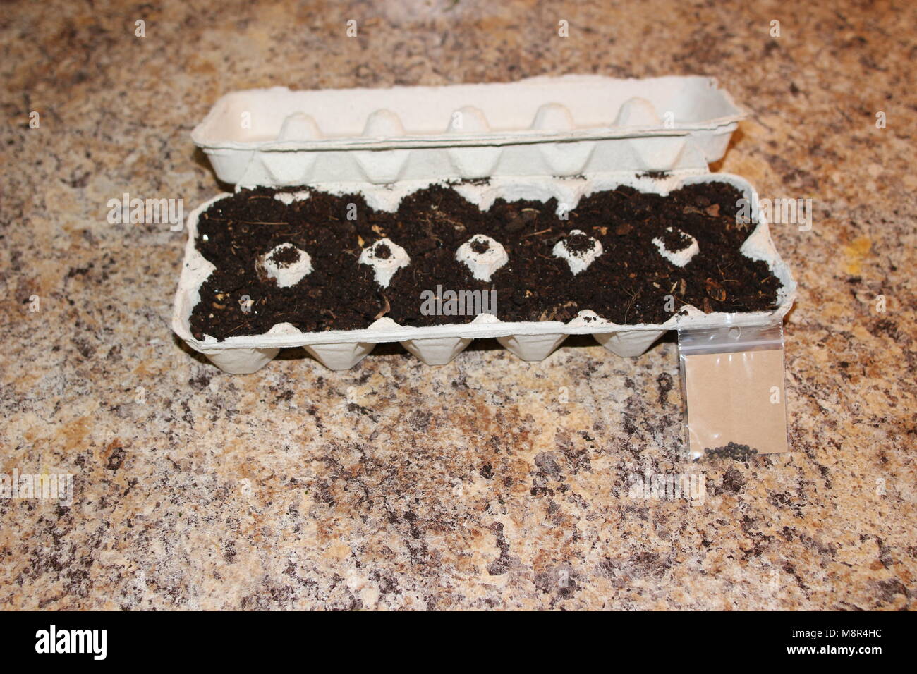 Seeds planted in egg cartons. this is an environmentally friendly way