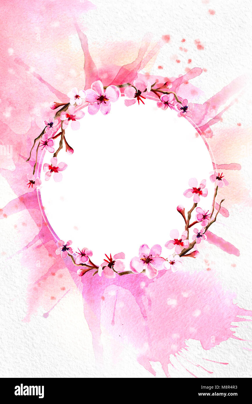 Cherry blossom on pink watercolor background Stock Photo - Alamy