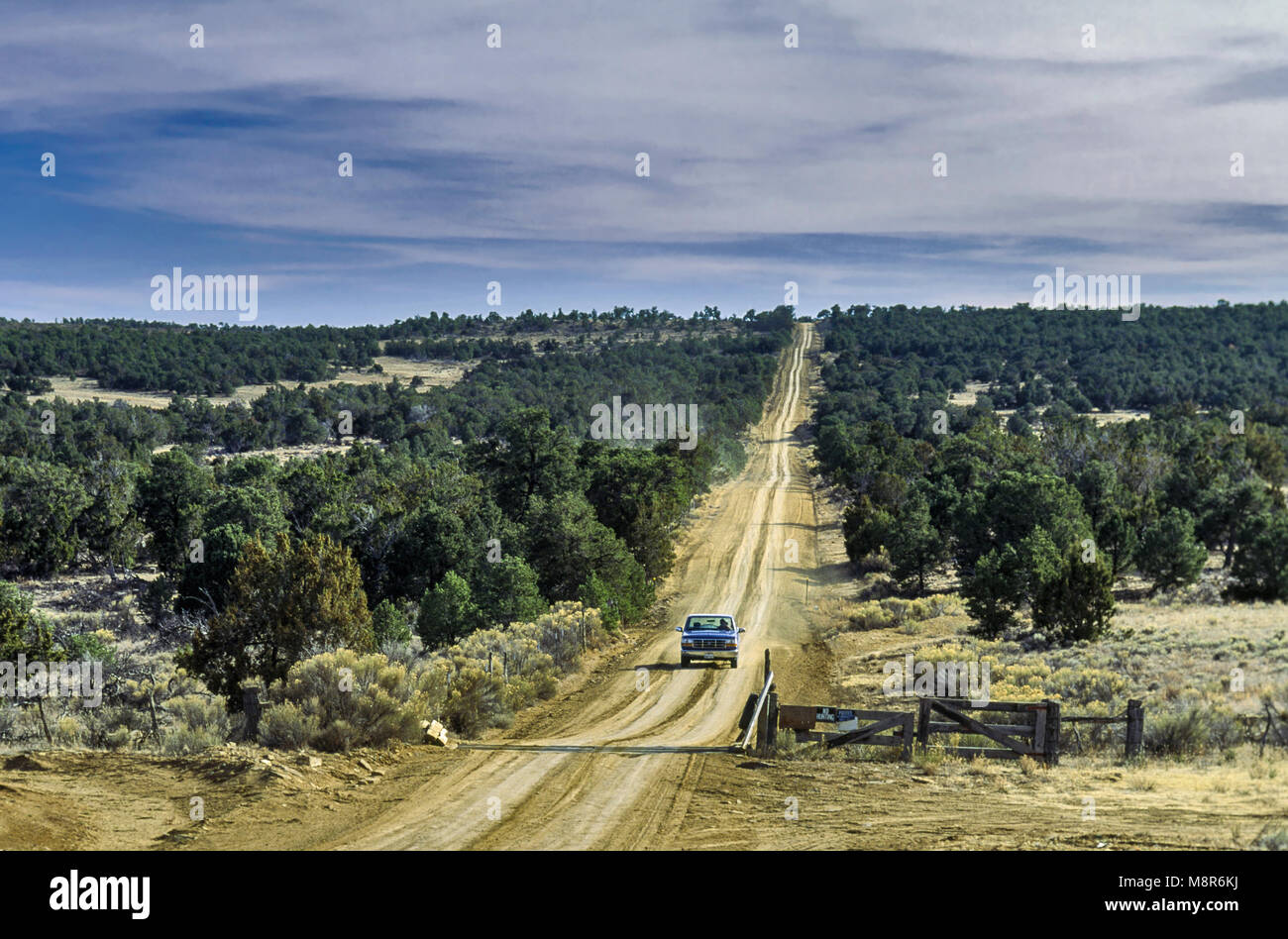 Pickup truck on dirt road in pinyon-juniper woodlands near Malpais Lava Flow, near Grants, New Mexico, USA Stock Photo