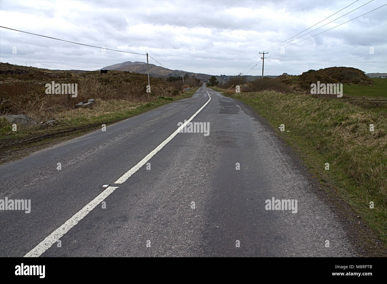 rural road empty to the horizon on the mizen peninsular, west cork, ireland Stock Photo
