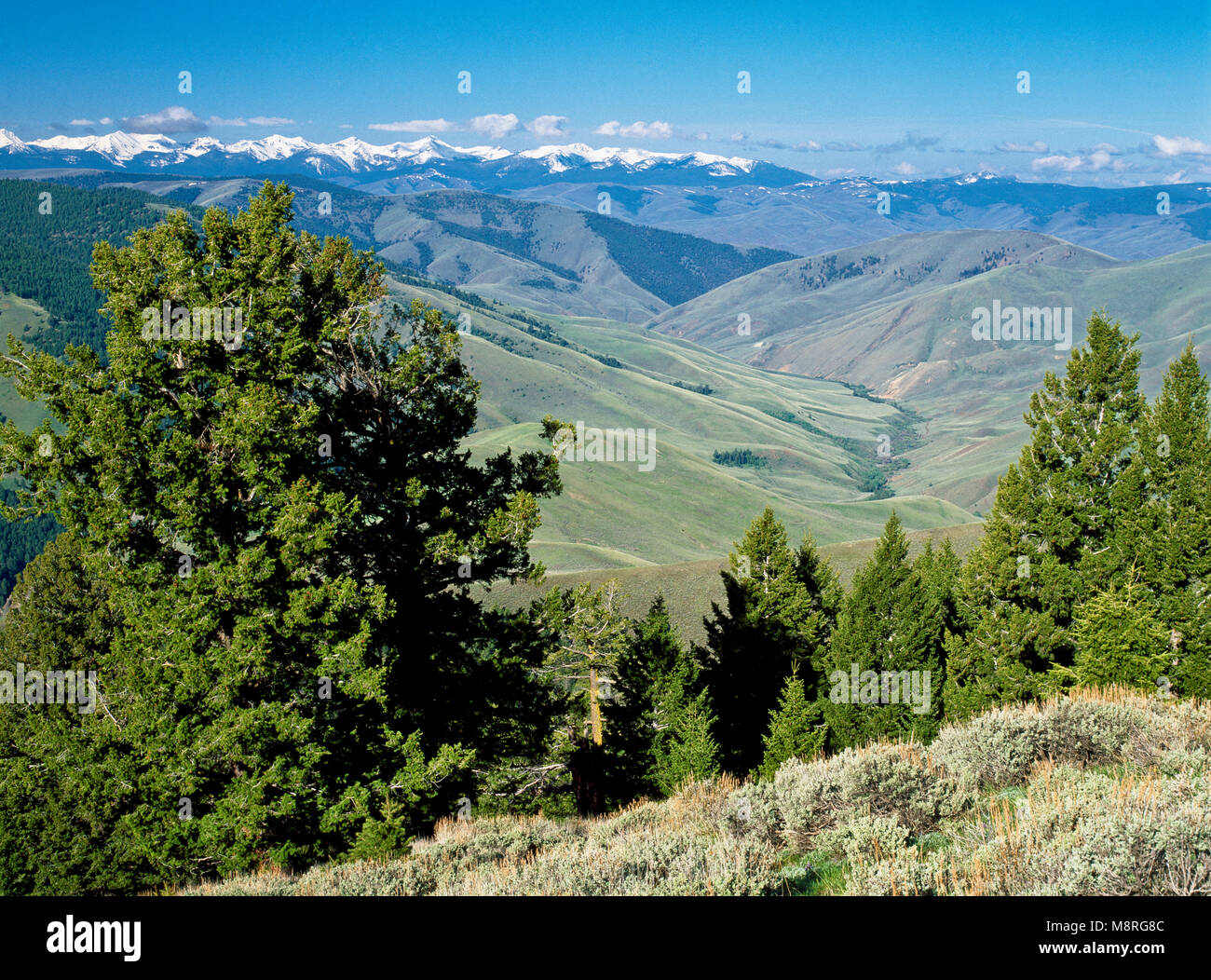 lemhi mountains and agency creek valley viewed from lemhi pass on the