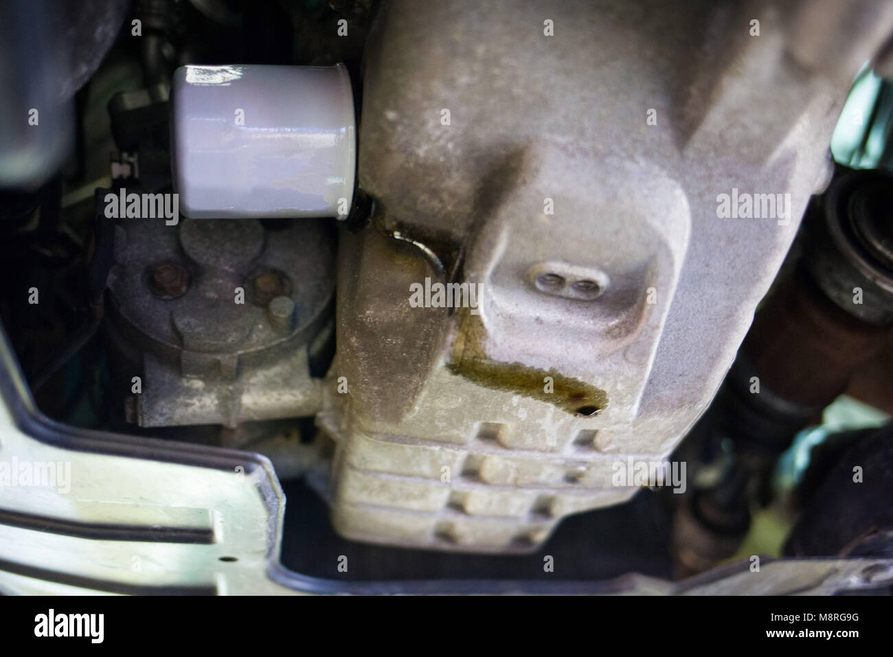 Car oil leak needs to be repaired filter engine Stock Photo Alamy